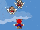 Mario Fly