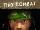 Tiny Combat